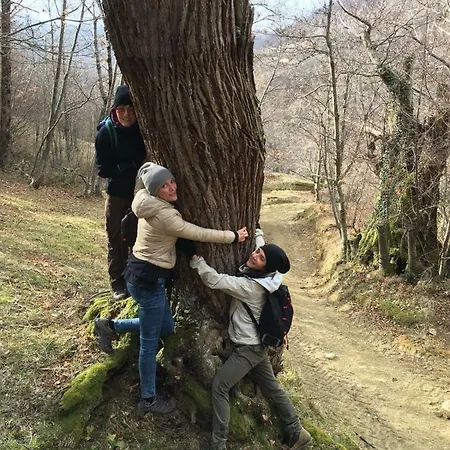 Latordicella Castel del Rio