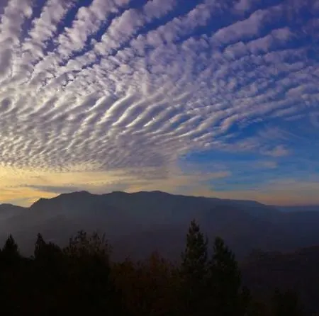 Bed & Breakfast Latordicella Castel del Rio