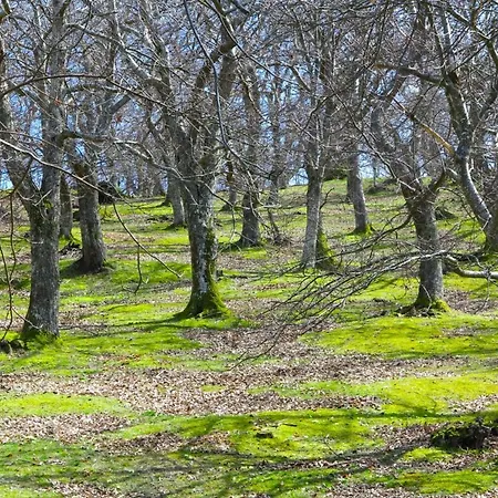 Latordicella Castel del Rio