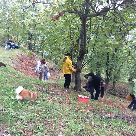 Latordicella 3* Castel del Rio