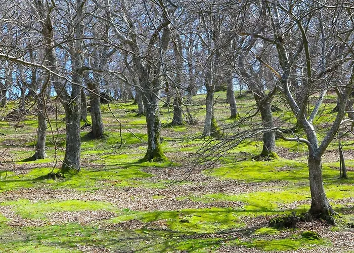 Latordicella Castel del Rio
