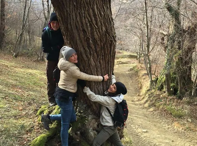 Latordicella Castel del Rio